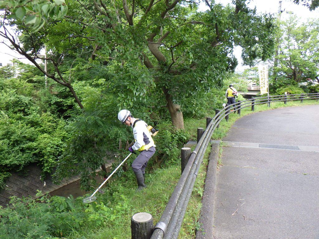 奉仕作業