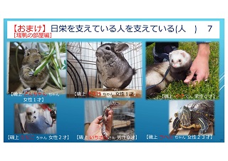 introduce82-3-9