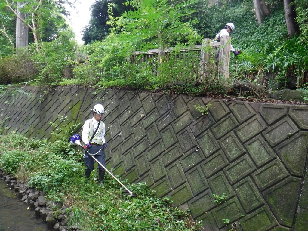 奉仕作業